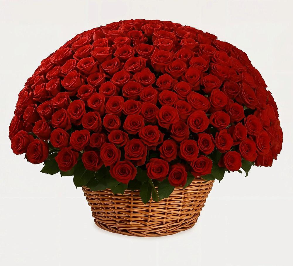 Премиум букет из: Розы в Чулыме