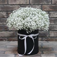 Цветочная композиция из Гипсофила в шляпной коробке в Чулыме